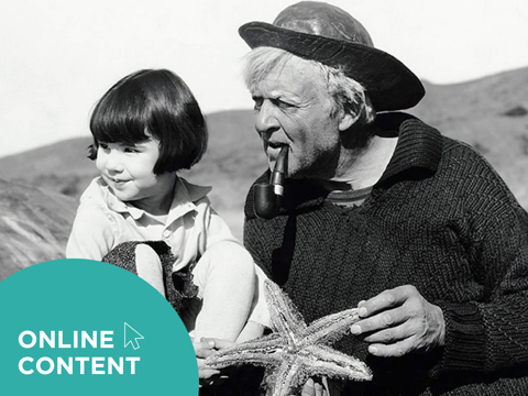 HippFest at Home | Captain January