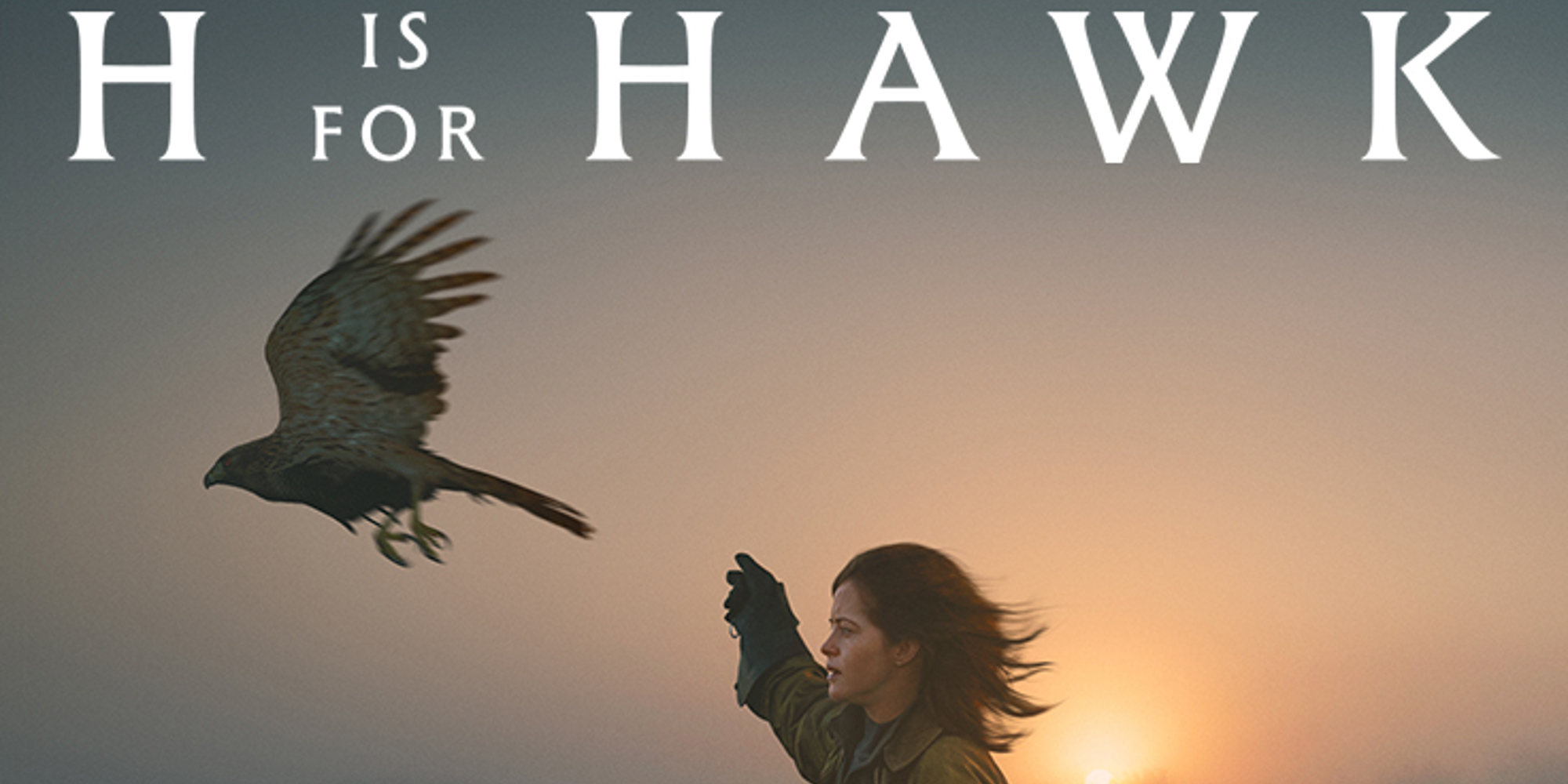 H is for Hawk (12A)