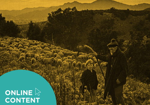 HippFest at Home | The White Heather