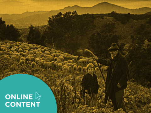 HippFest at Home | The White Heather